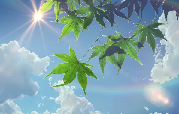 Картинка Солнце, Небо, Облака, Аниме, Листва, Макото Синкай, Anime, The Garden Of Words