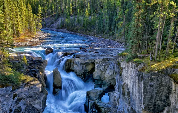 Картинка лес, деревья, река, скалы, водопад, Канада, Canada, Jasper National Park