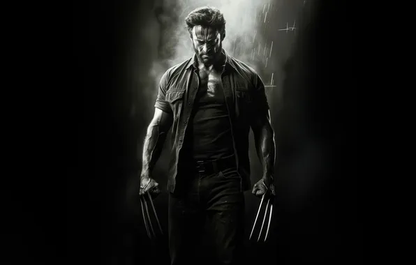 Wolverine, claws, vengeance