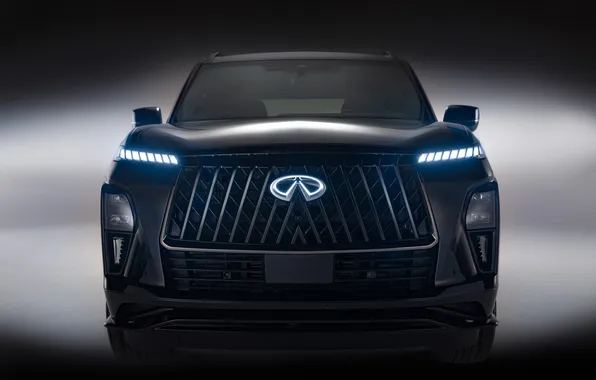 Infiniti, вид спереди, Внедорожник, Sport, SUV, Люкс, AWD, QX80