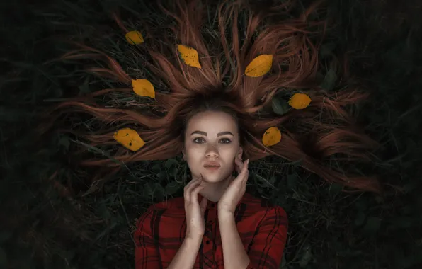 Картинка трава, листья, волосы, Девушка, лежит, Александр Тишкевич