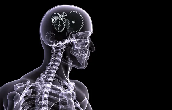 Картинка человек, скелет, шестеренки, рентген, мозг, черный фон