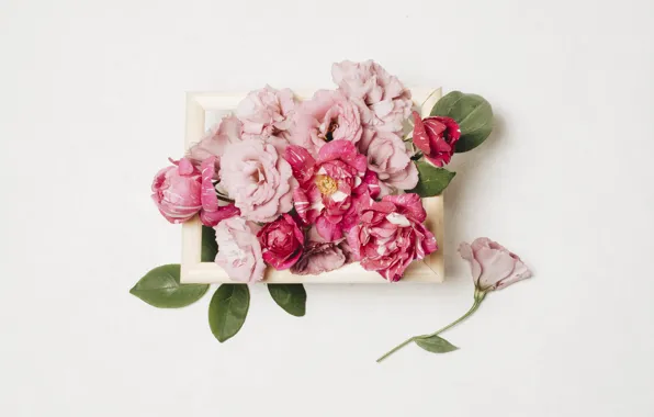 Картинка цветы, эустома, композиция, flower