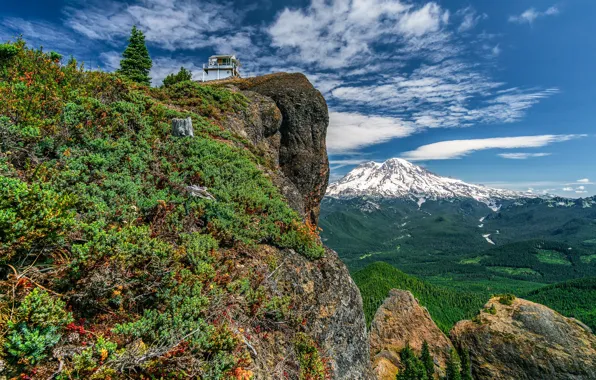 Лес, горы, скала, Mount Rainier, Gifford Pinchot National Forest, Washington State, Штат Вашингтон, High Rock …