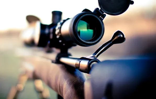 Картинка Rifle, Macro, Remington 700