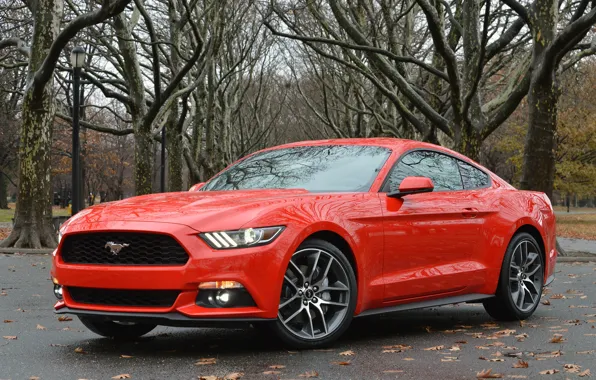 Mustang, ford, coupe