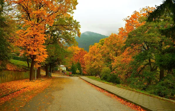 Картинка Дорога, Осень, Деревья, Гора, Улица, Fall, Листва, Mountain