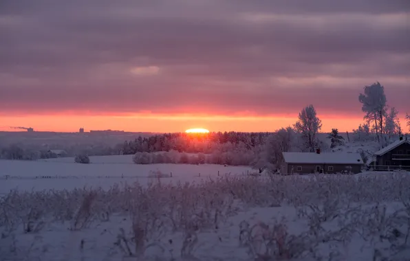Картинка winter, snow, morning, sunrise