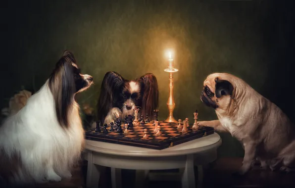 Картинка собаки, шахматы, подсвечник, Мопс, Папийон, Наталия Поникарова, английский клуб