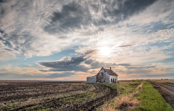 Картинка дорога, поле, дома