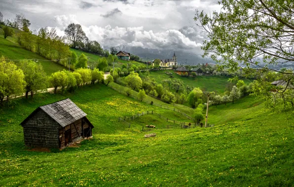 Картинка зелень, трава, деревья, дома, Румыния, Transylvania