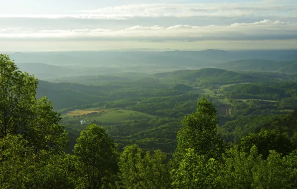 Картинка горы, поля, панорама, США, леса, Blue Ridge Parkway