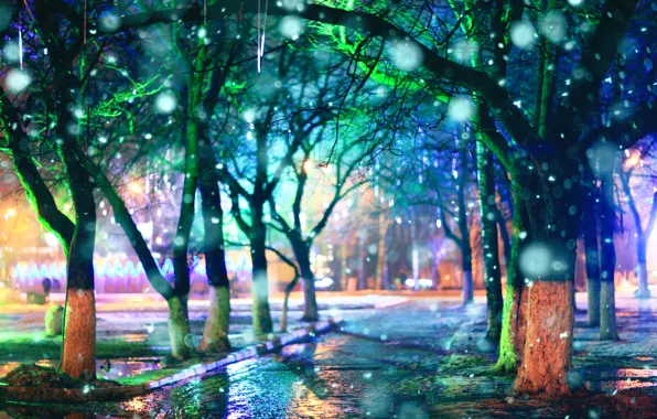 Деревья, дождь, вечер, аллея