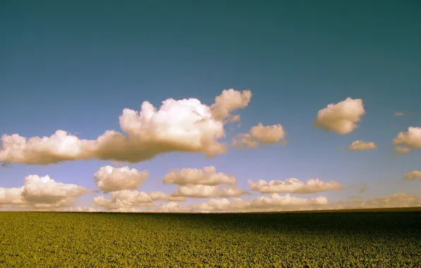 Картинка поле, облака, цвет