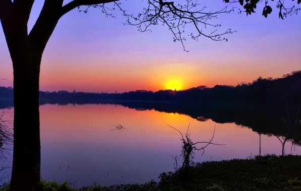 Sun, Water, Sunrise, Dawn, Morning, Lake, Trees, Reflection