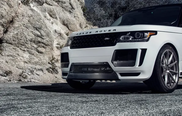 Land Rover, Range Rover, ленд ровер, рендж ровер, Vogue, 2015