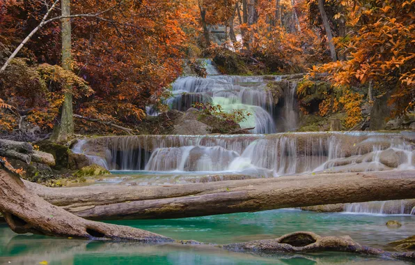 Картинка осень, лес, природа, водопад, поток, forest, стволы деревьев, nature