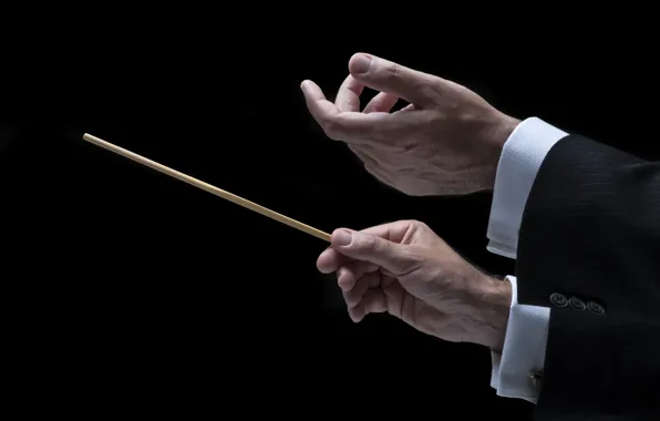 Hands, orchestra, Conductor