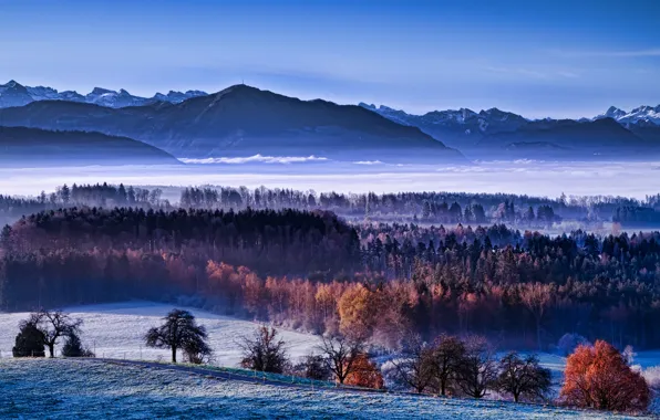Картинка зима, осень, снег, туман, утро, долина