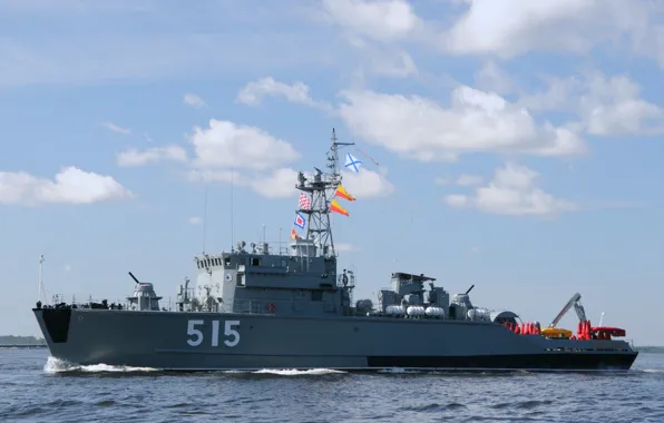 Проект 1265, базовый тральщик, Павел Хенов