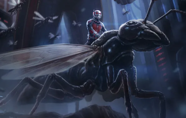Картинка насекомые, фантастика, рисунок, арт, marvel, комикс, Человек-муравей, Ant-Man