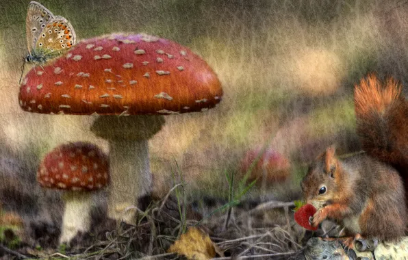 Картинка осень, лес, рендеринг, бабочка, грибы, обработка, текстура, белка