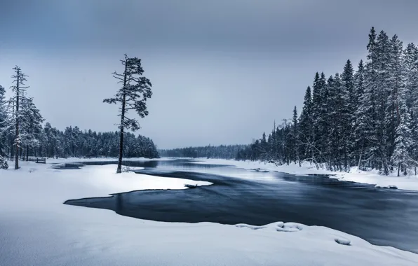 Картинка река, лес, зима