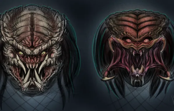 Морда, хищник, клыки, пришелец, Predator, тварь