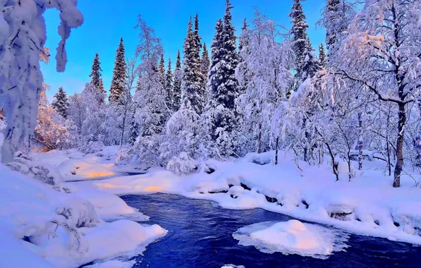 Картинка зима, лес, снег, деревья, пейзаж, река, ель