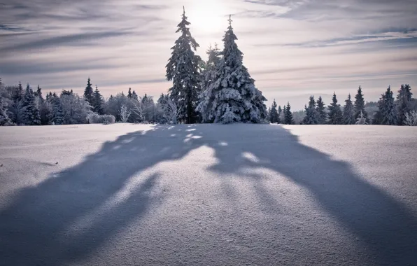 Картинка зима, небо, солнце, снег, деревья, горы, природа, дерево
