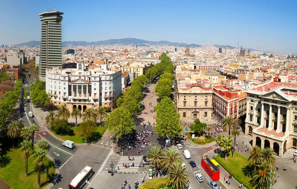 Деревья, дороги, дома, площадь, Испания, вид сверху, Барселона