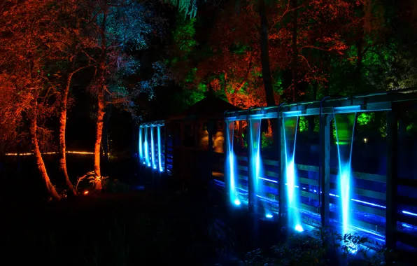 Картинка свет, деревья, ночь, огни, парк, цвет