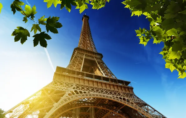 Картинка небо, листья, солнце, Франция, Париж, зеленые, Эйфелева башня, Paris