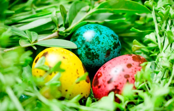 Картинка зелень, макро, яйца, пасха, гнездо, eggs, easter, крашенные яйца