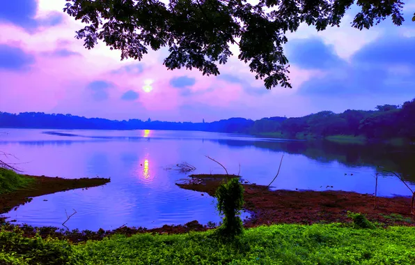 Sun, Water, Sunrise, Dawn, Morning, Lake, Trees, Reflection