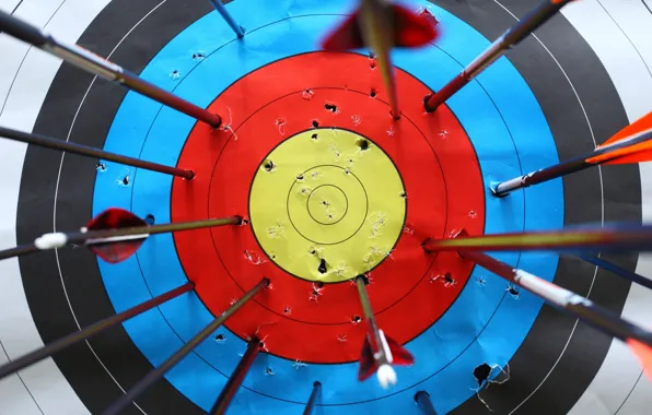 Arrows, destruction, practice, target shooting, white target, marksmanship