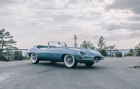 Картинка Jaguar, E-Type, Jaguar E-Type, 1961, front view