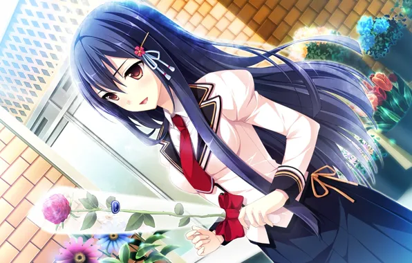 Картинка девушка, цветы, розы, аниме, арт