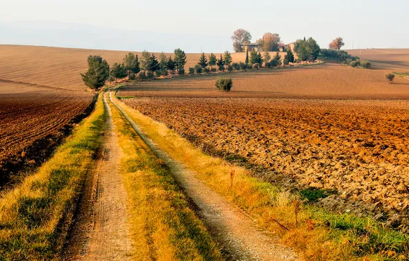 Картинка дорога, поле, небо, деревья, дом, Италия
