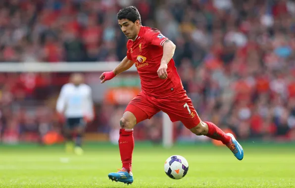 Спорт, Футбол, Football, Ливерпуль, Sport, Луис Суарес, Liverpool Football Club, Luis Alberto Suárez Díaz