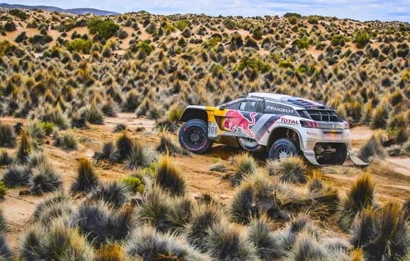 Песок, Спорт, Скорость, Гонка, Peugeot, Фары, Red Bull, Rally
