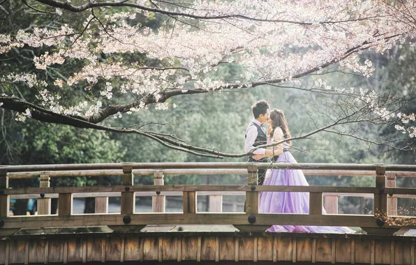 Картинка мост, дерево, платье, пара, костюм, влюбленные, невеста, жених