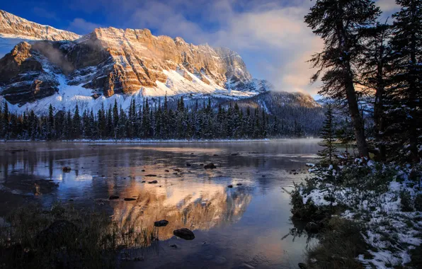 Картинка осень, отражения, озеро, утро, Канада, Скалистые горы, национальный парк Банф, Боу