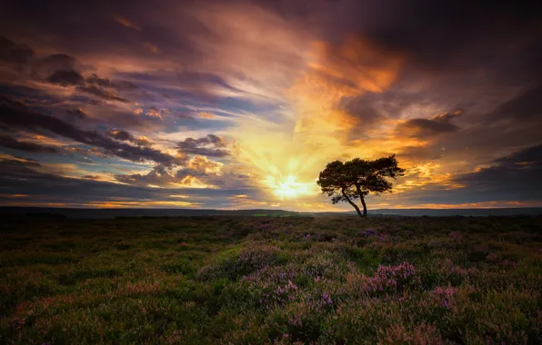 Картинка небо, облака, рассвет, Англия, утро, North Yorkshire, North Yorkshire Moors