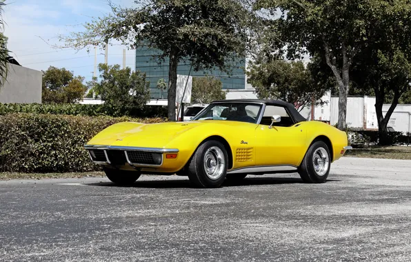 Corvette, Chevrolet, 1971, шевроле, Stingray, корветт