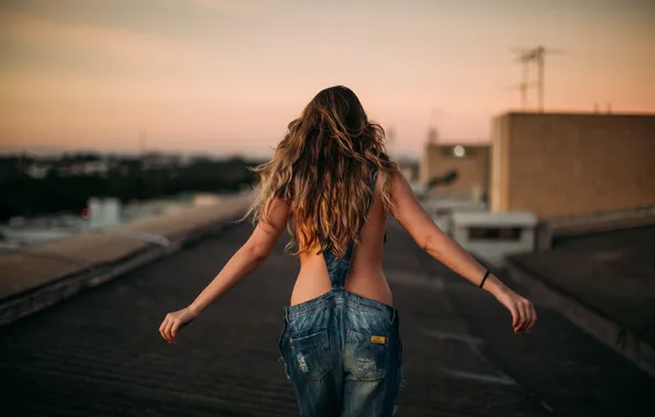 Картинка girl, dusk, hair, back, roof, arms