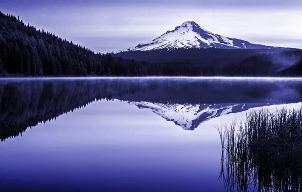 Лес, природа, озеро, гора, Oregon, Trillium Lake