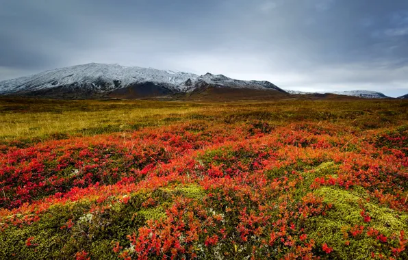 Картинка трава, горы, тучи, долина, луг, Исландия, Snaefellsnes