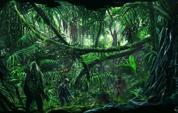 Картинка лес, деревья, джунгли, солдат, снайпер