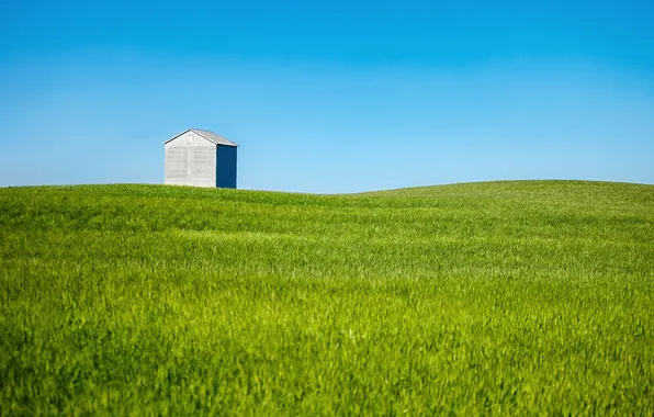 Картинка небо, трава, поля, линия, металлик, сельская местность, фермы, зерна бен